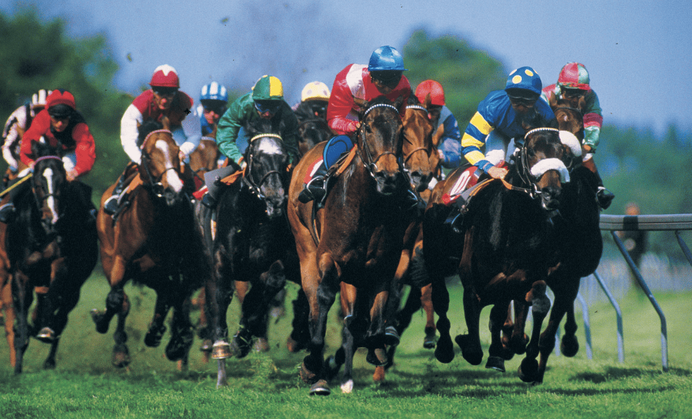 Image of several horses and jockeys competing in a horse race.